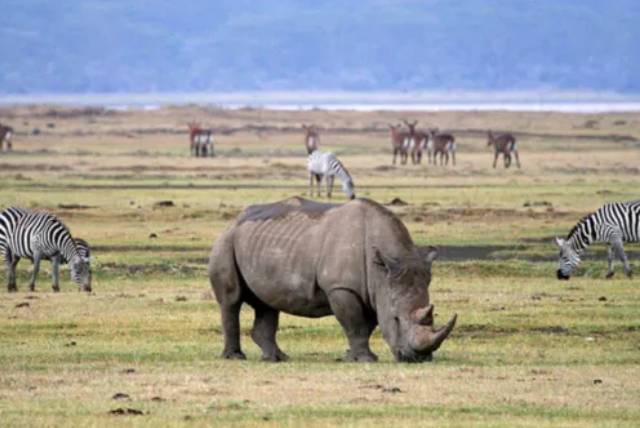 5 Day Serengeti & Ngorongoro Safari