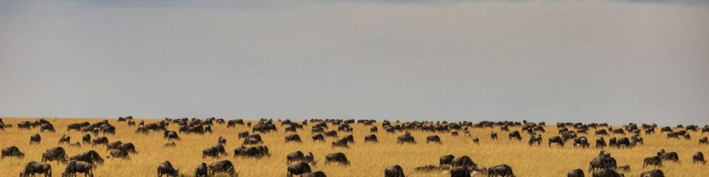 Serengeti National Park