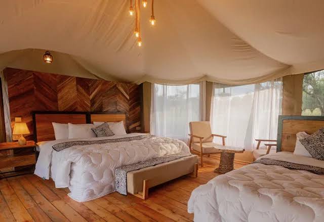 moyo migration tented camp
