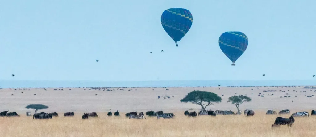 Luxury Great Migration Photography Safari in Tanzania