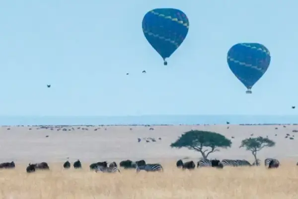 https://bookgorillatreks.com/wp-content/uploads/2026/07/luxury_great_migration_photography_safari_in_tanzania_