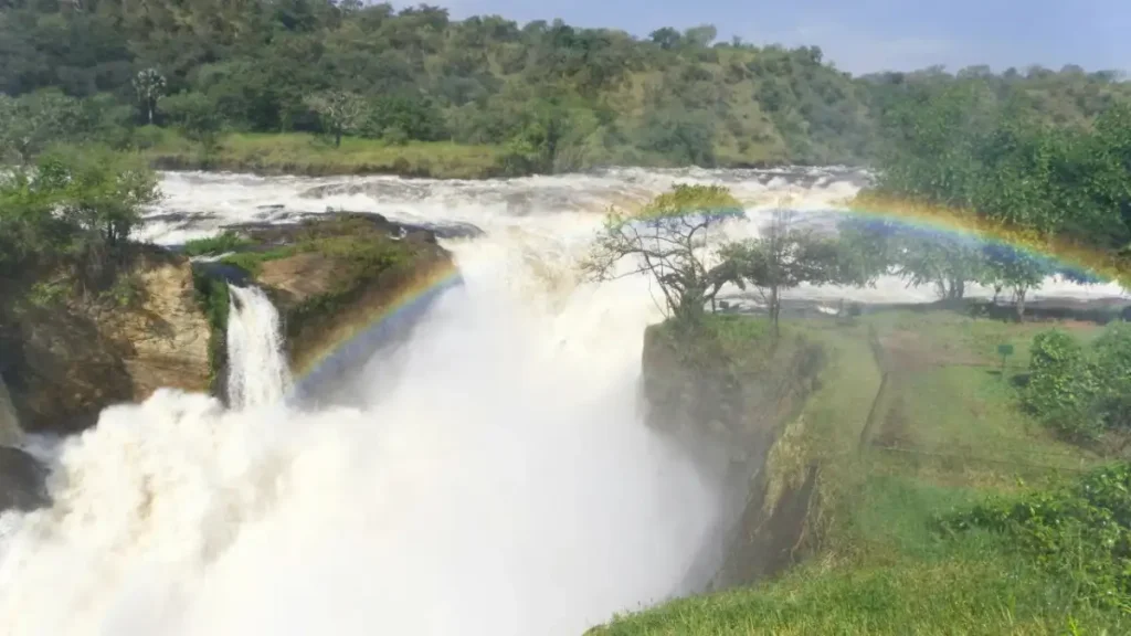 murchison falls national park